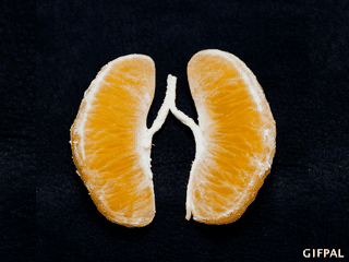 orange breathing gif animation