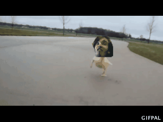 Funny Gif S And Meme S To Help Pass The Time Page 1286 King Community Funny Gif S And Meme S To Help Pass The Time Page 1286 King Community